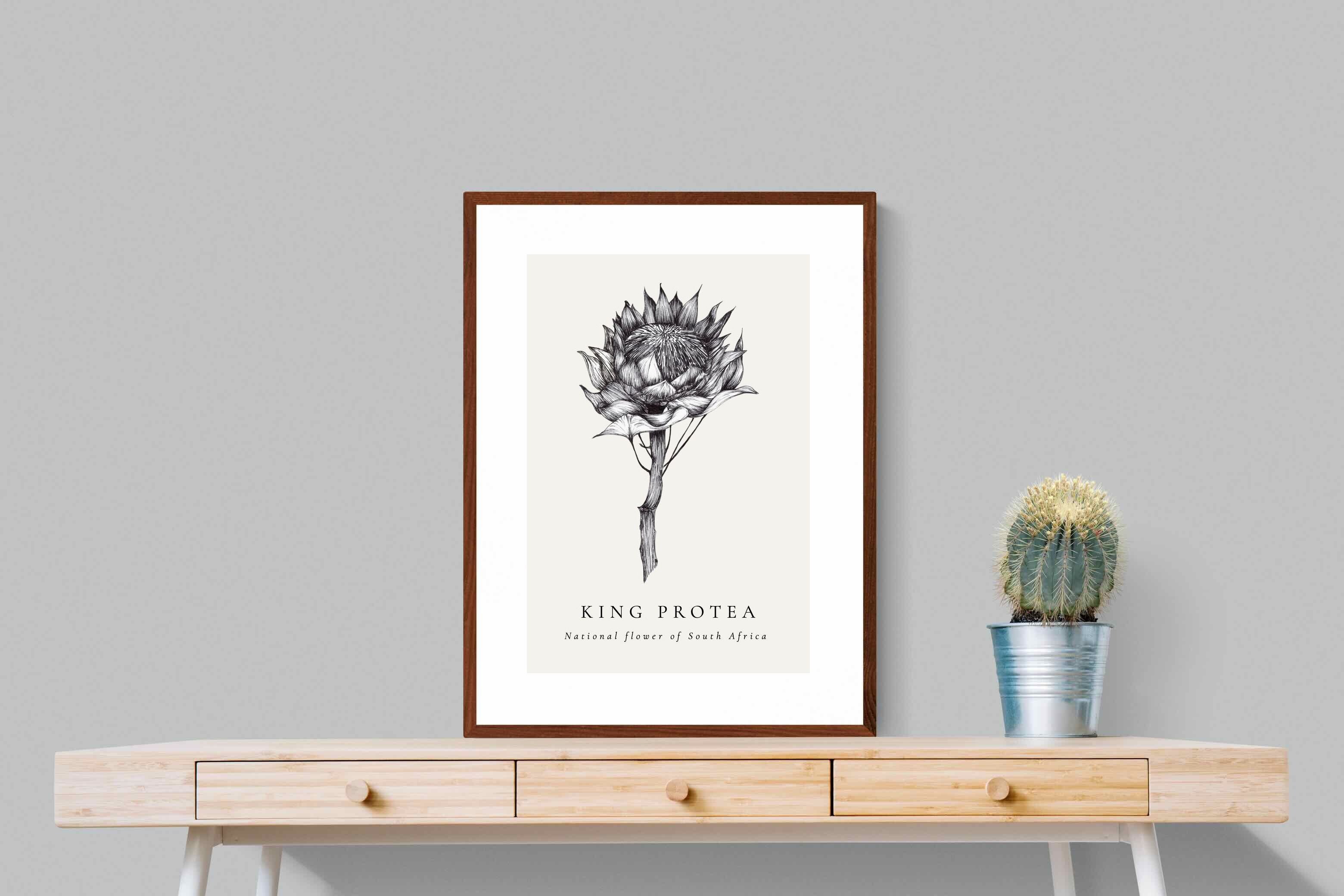 Pixalot ® King Protea Illustration
