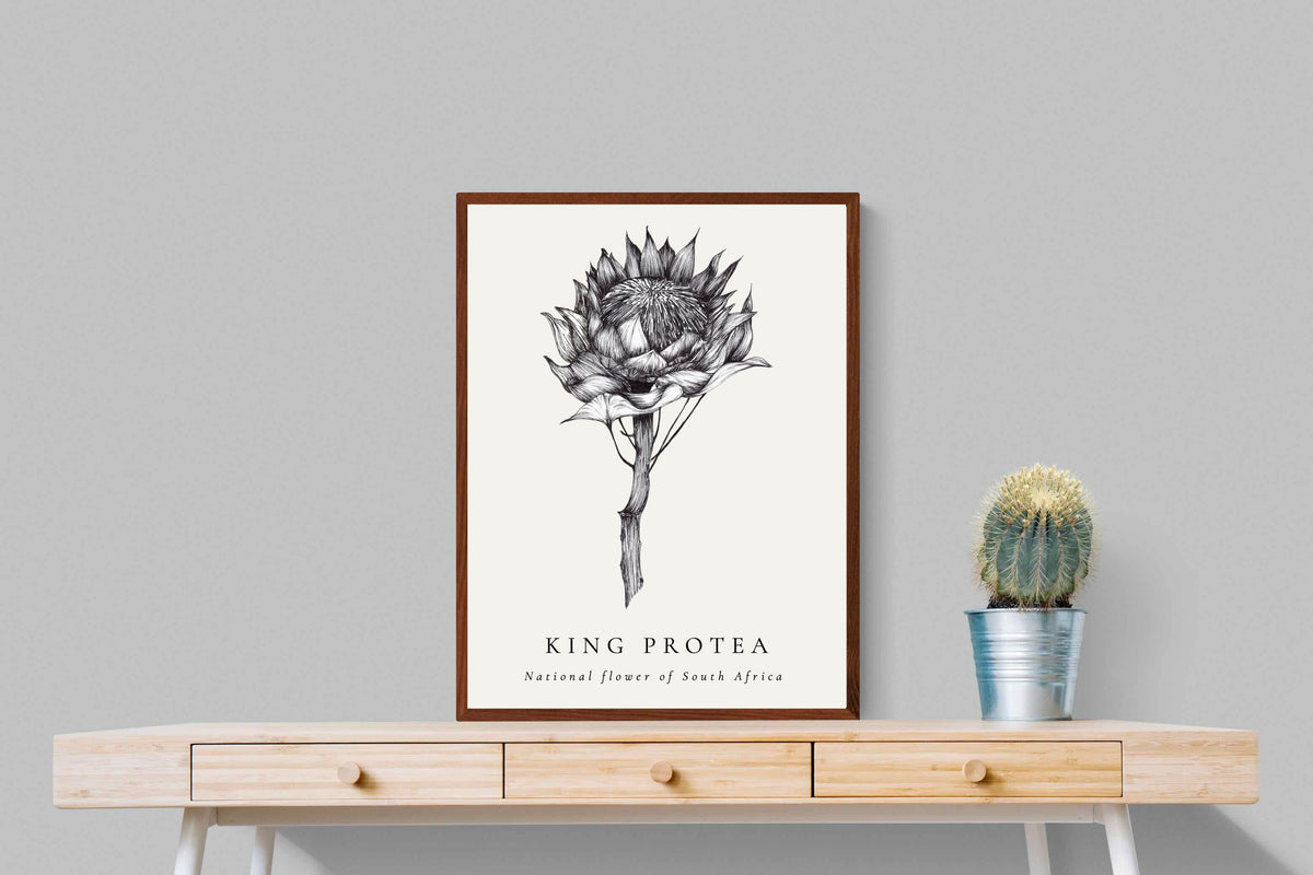 Pixalot ® King Protea Illustration