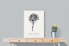 Pixalot ® King Protea Illustration