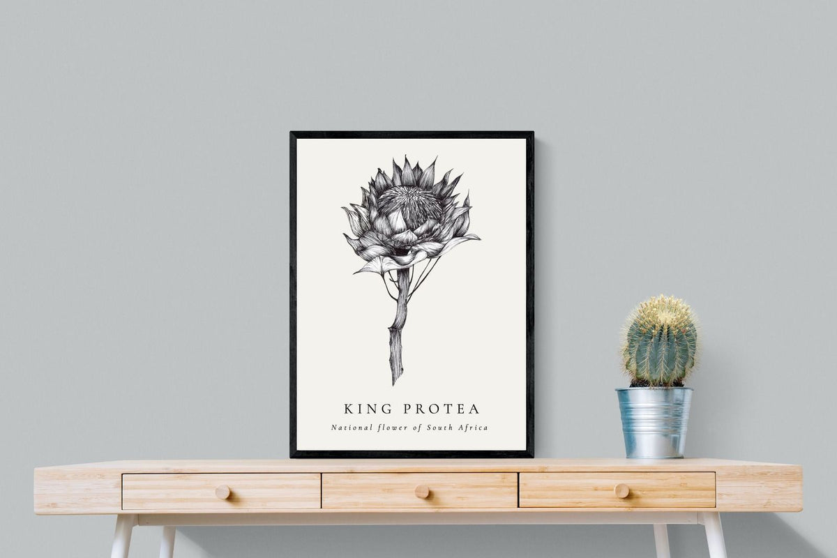 Pixalot ® King Protea Illustration