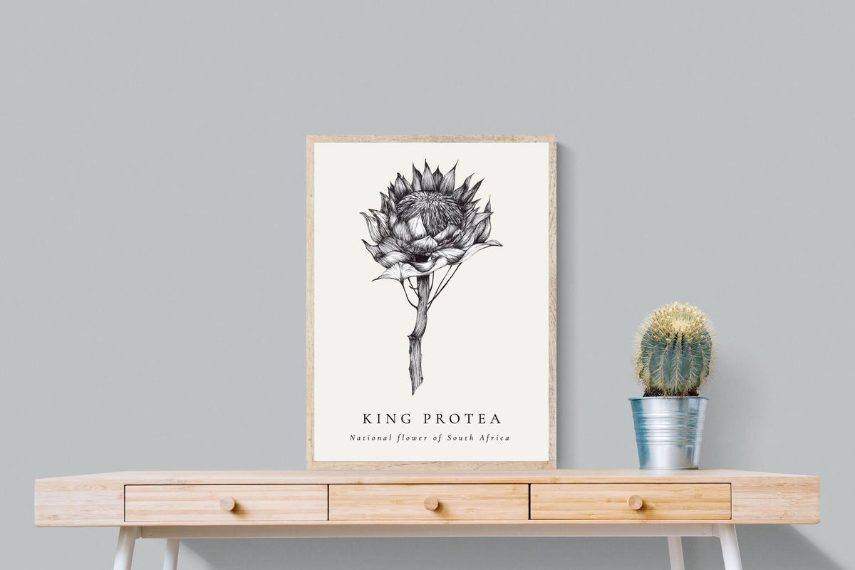 Pixalot ® King Protea Illustration