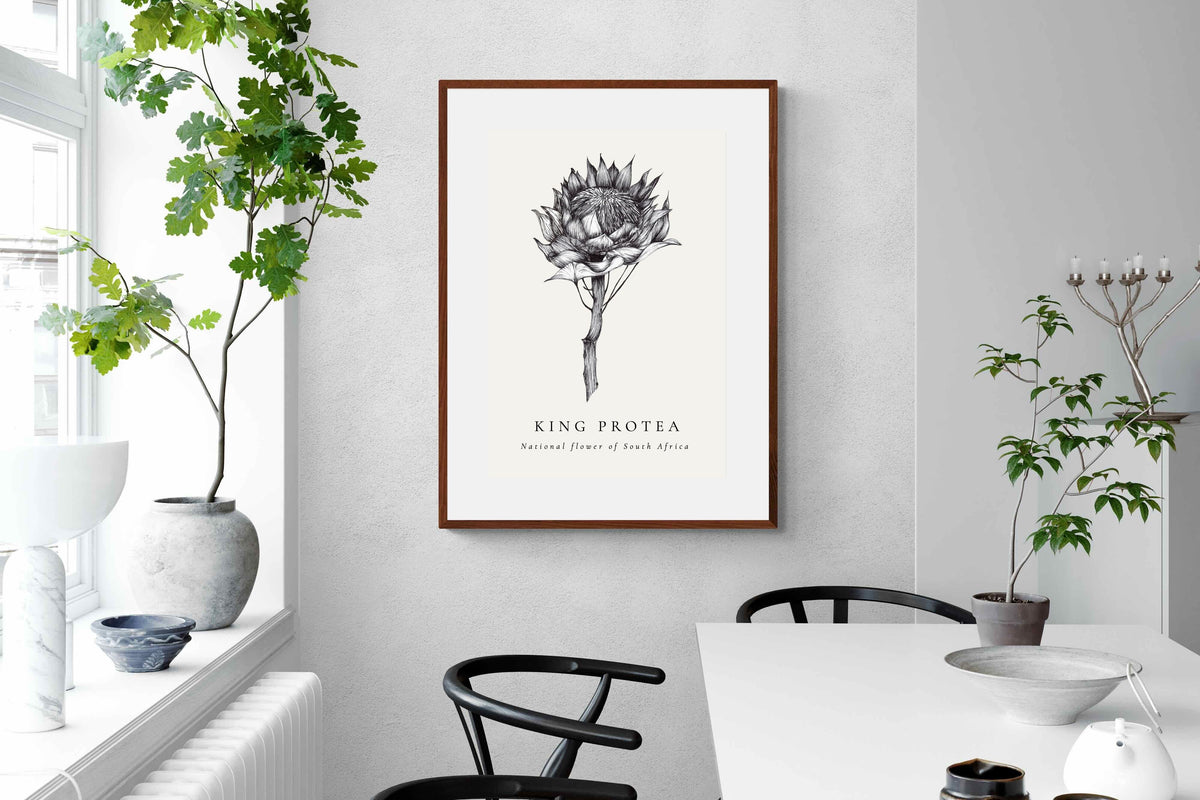 Pixalot ® King Protea Illustration