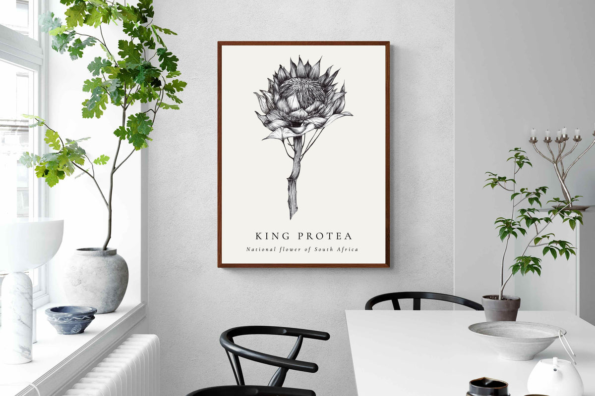 Pixalot ® King Protea Illustration