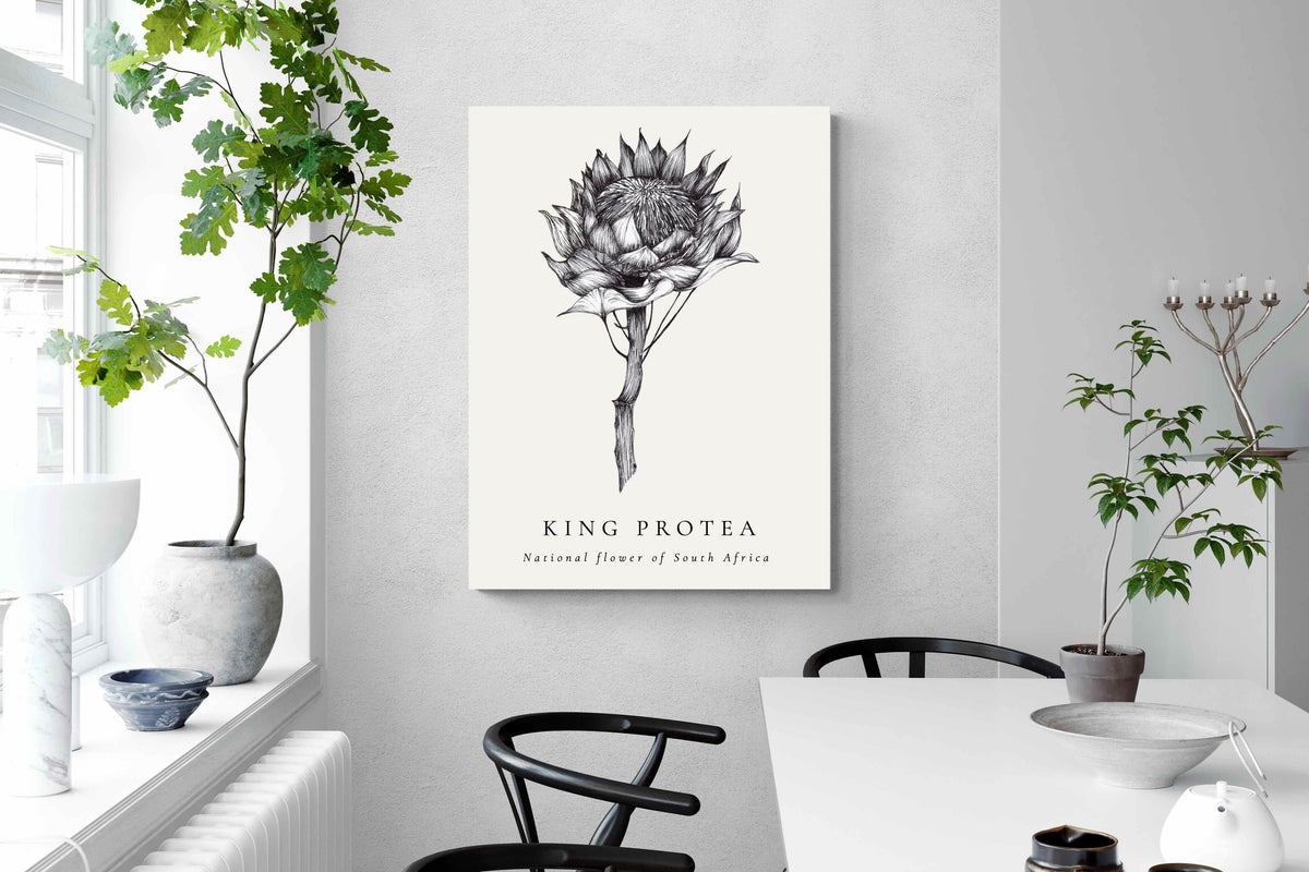 Pixalot ® King Protea Illustration