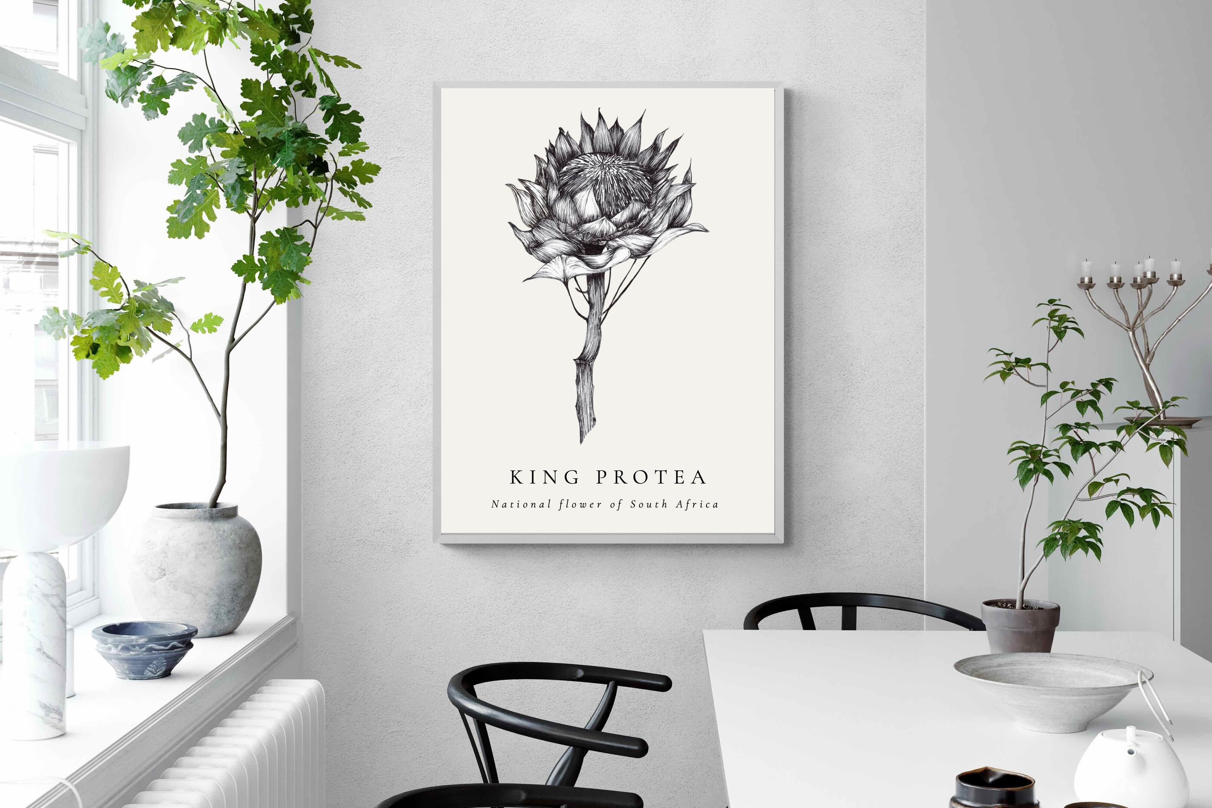 Pixalot ® King Protea Illustration