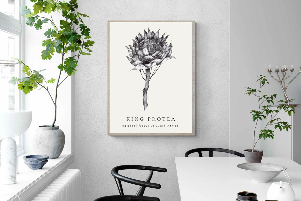 Pixalot ® King Protea Illustration