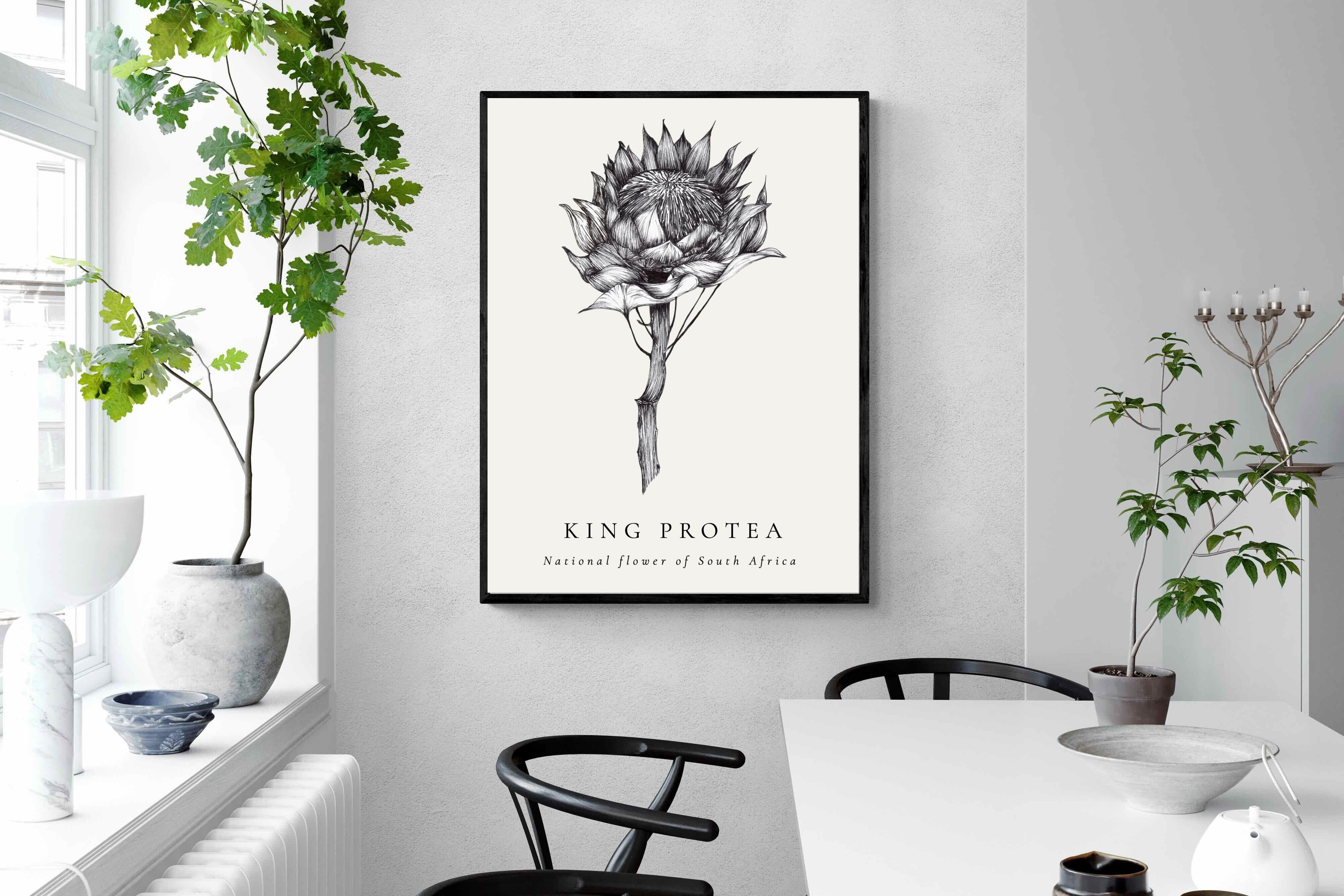 Pixalot ® King Protea Illustration