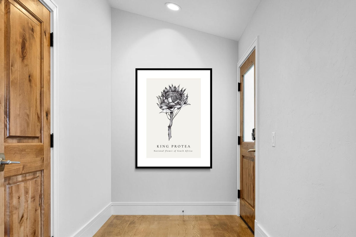 Pixalot ® King Protea Illustration