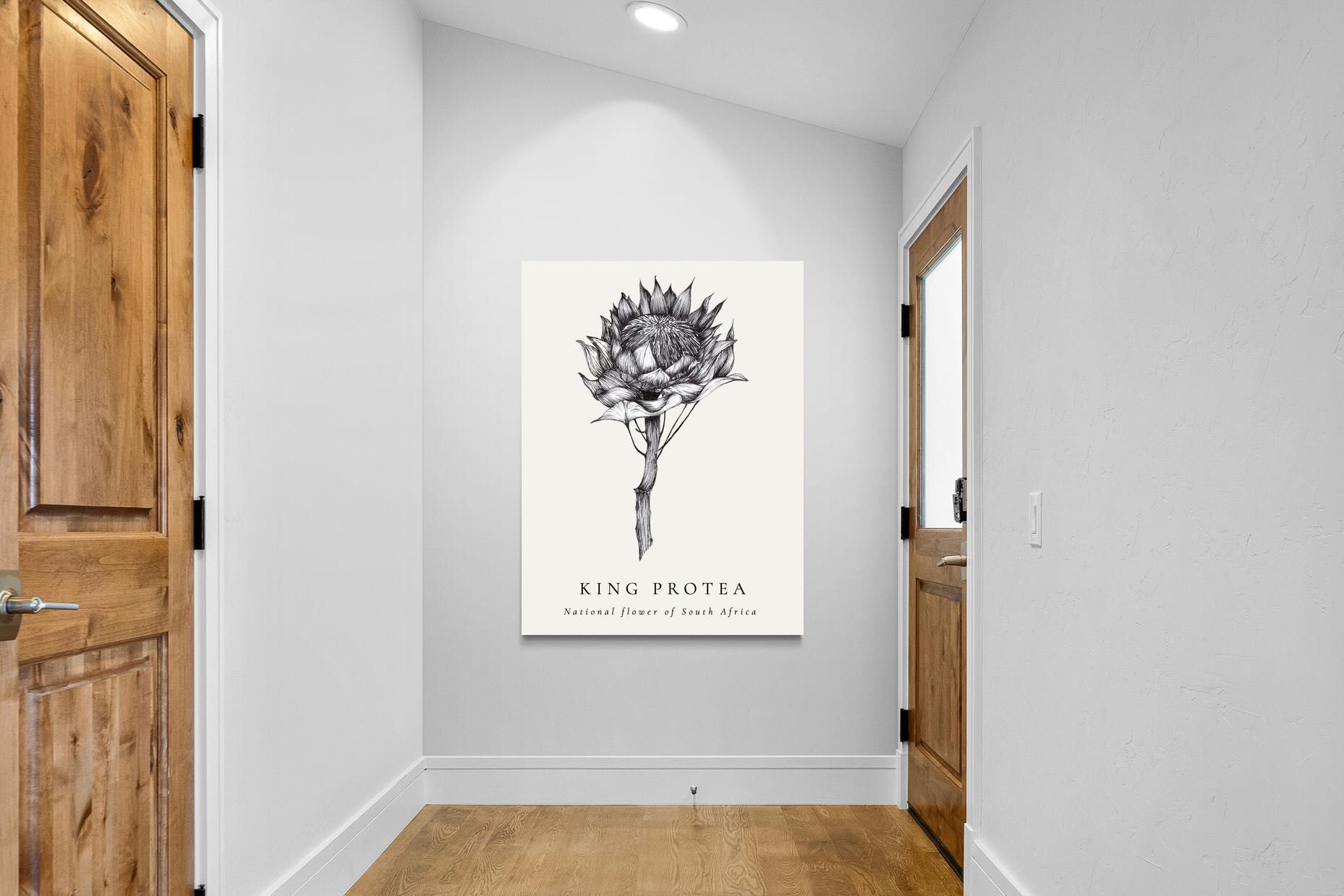 Pixalot ® King Protea Illustration