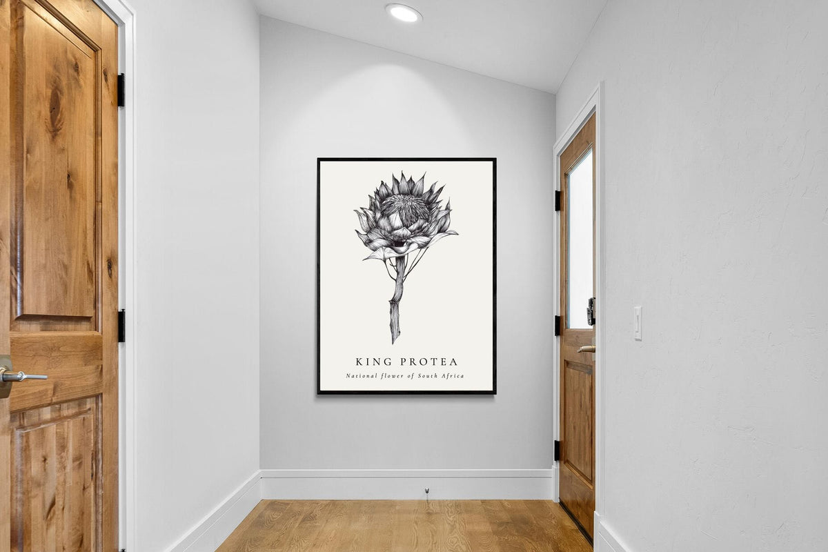 Pixalot ® King Protea Illustration