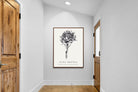 Pixalot ® King Protea Illustration