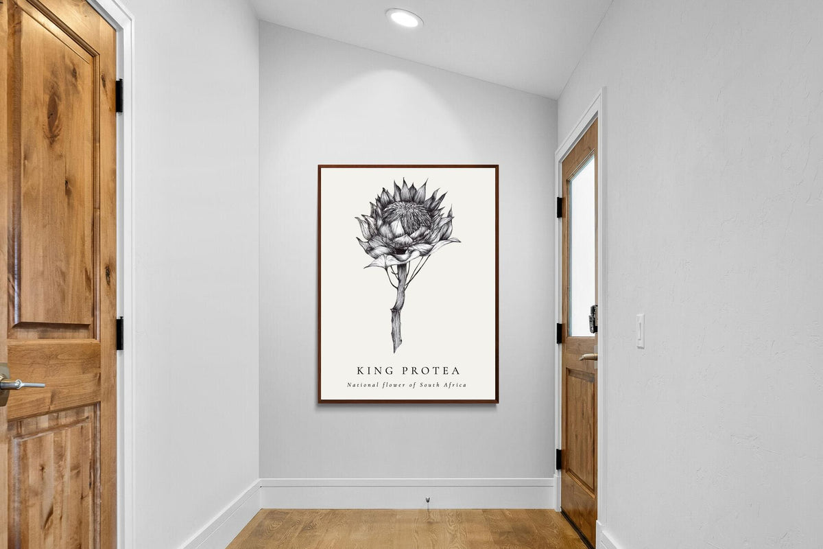 Pixalot ® King Protea Illustration