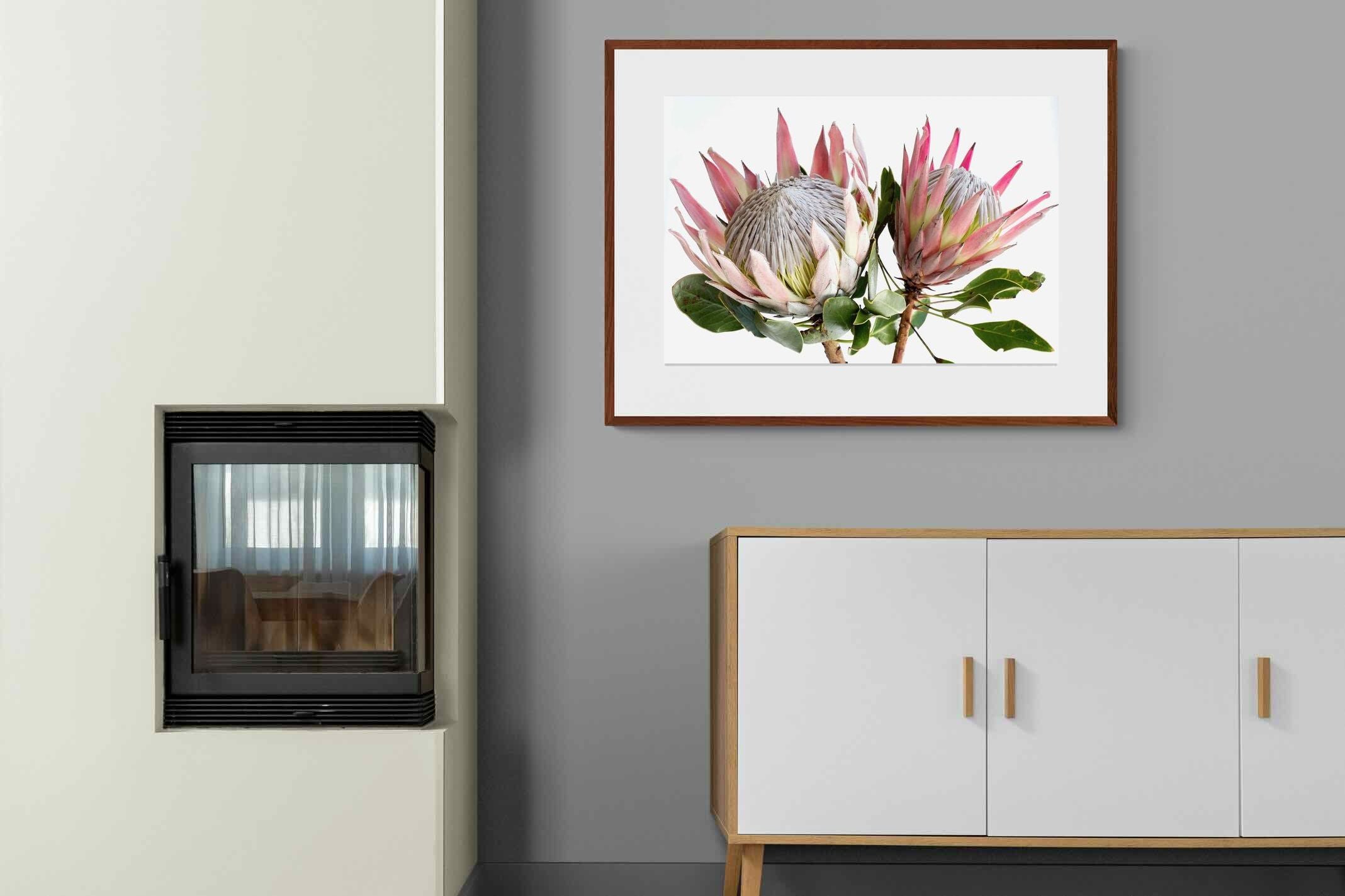 Pixalot ® King Proteas