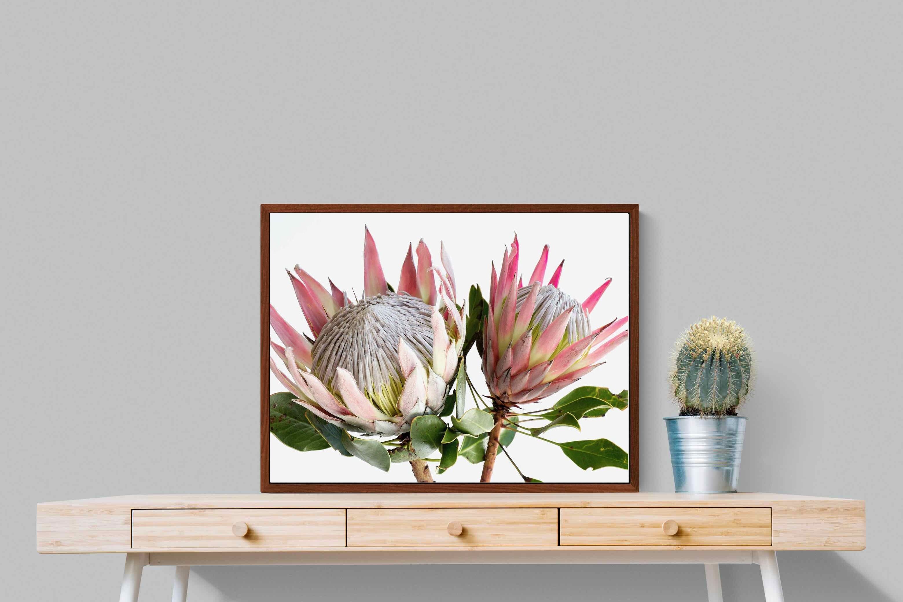 Pixalot ® King Proteas