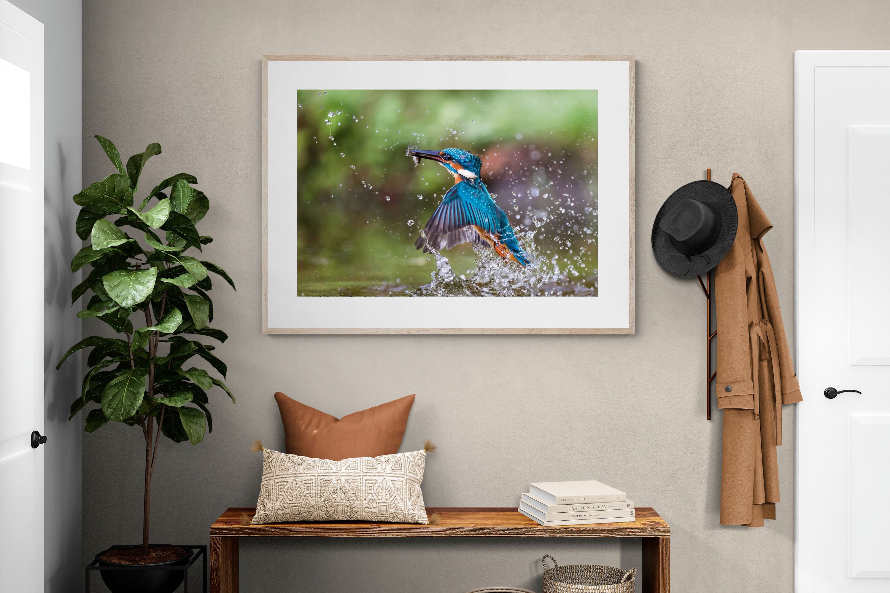 Pixalot Kingfisher Catch