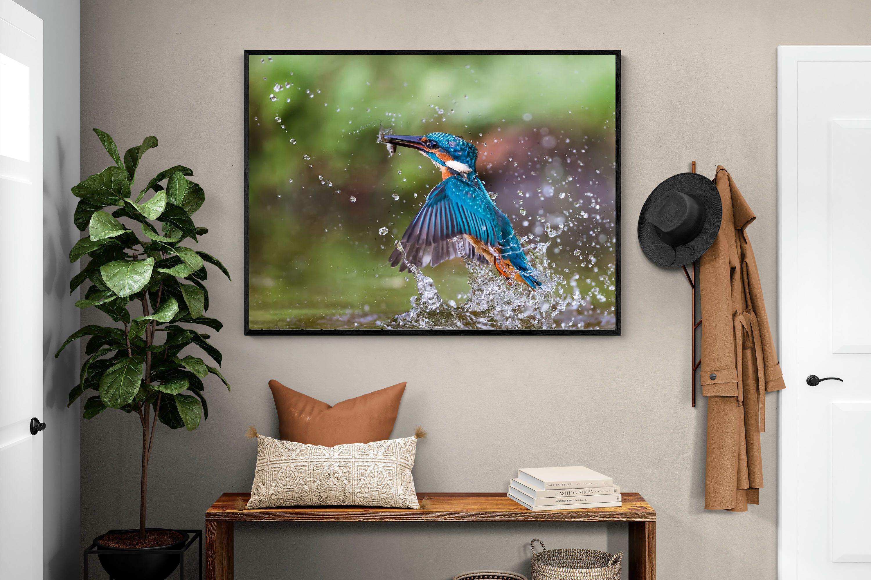 Pixalot Kingfisher Catch