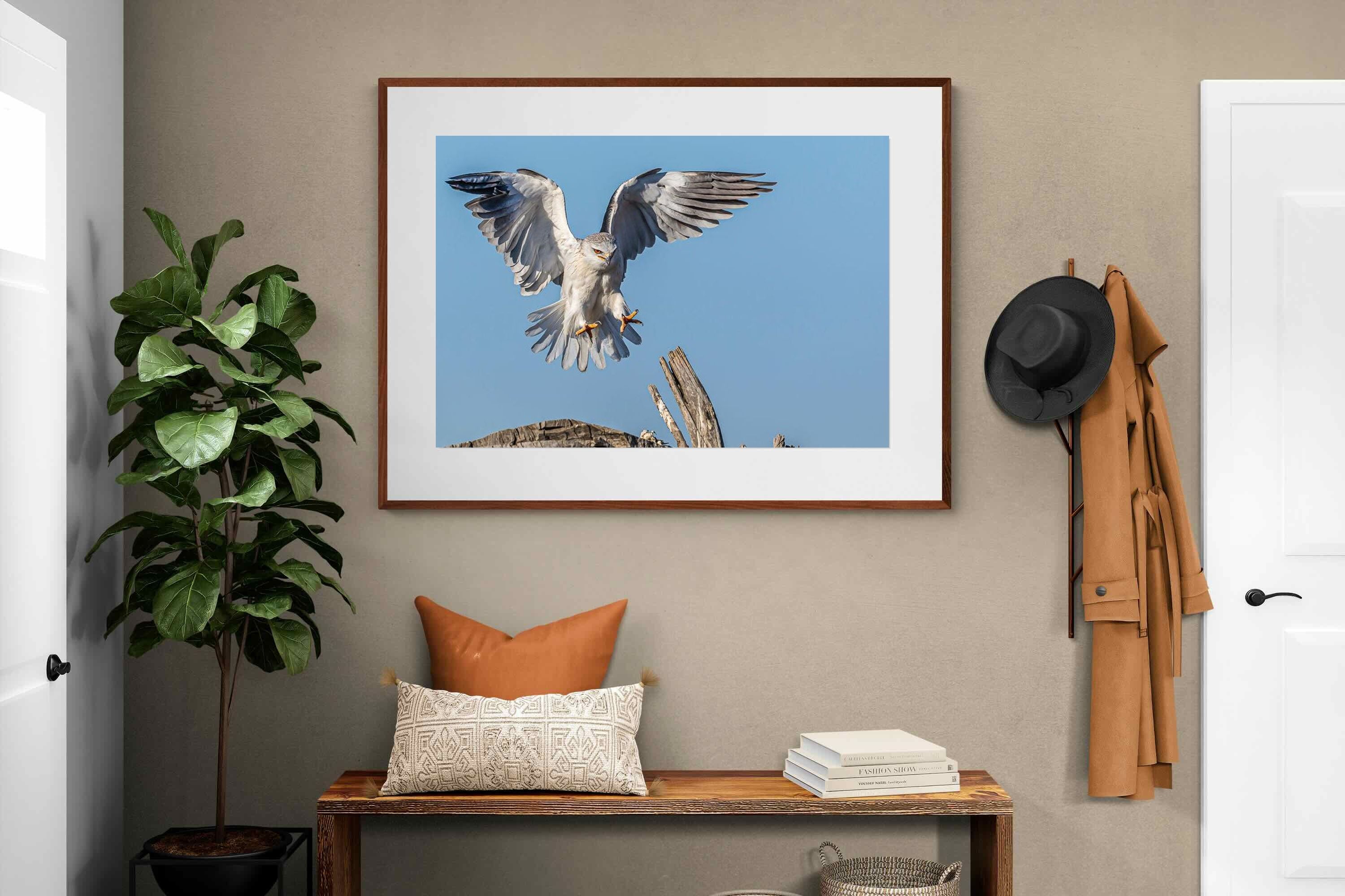 Pixalot ® Kite