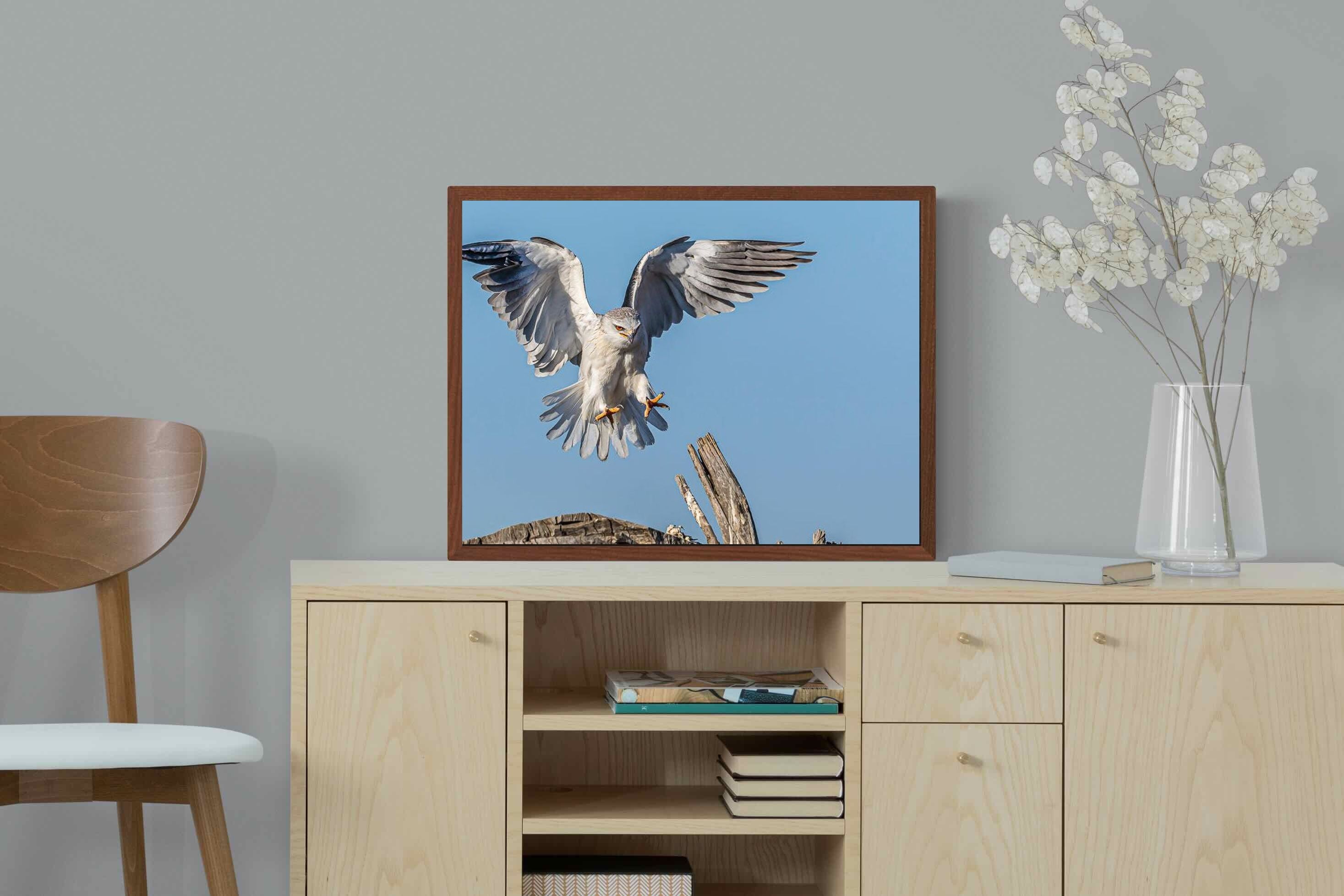 Pixalot ® Kite