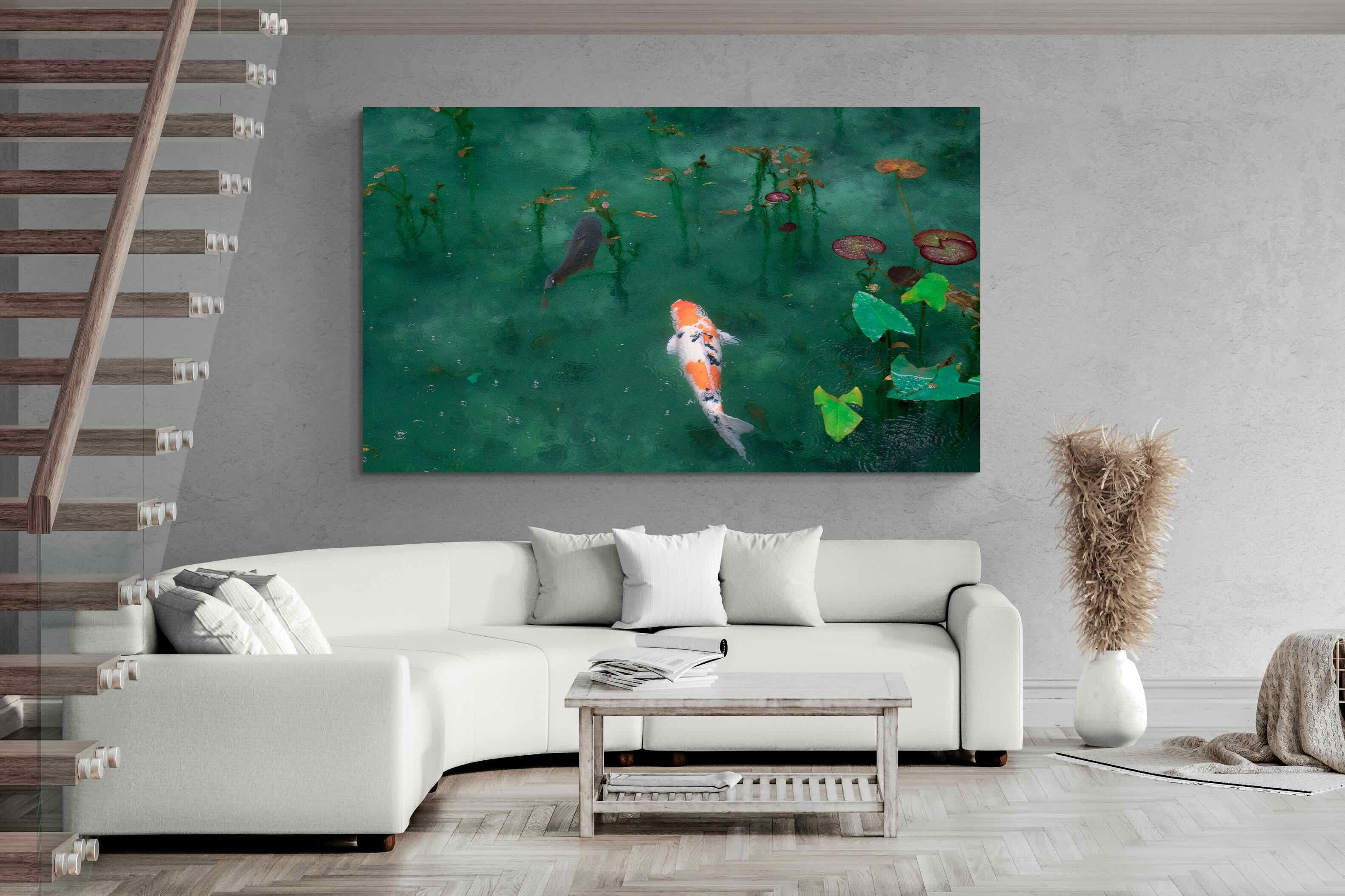Pixalot Koi Pond