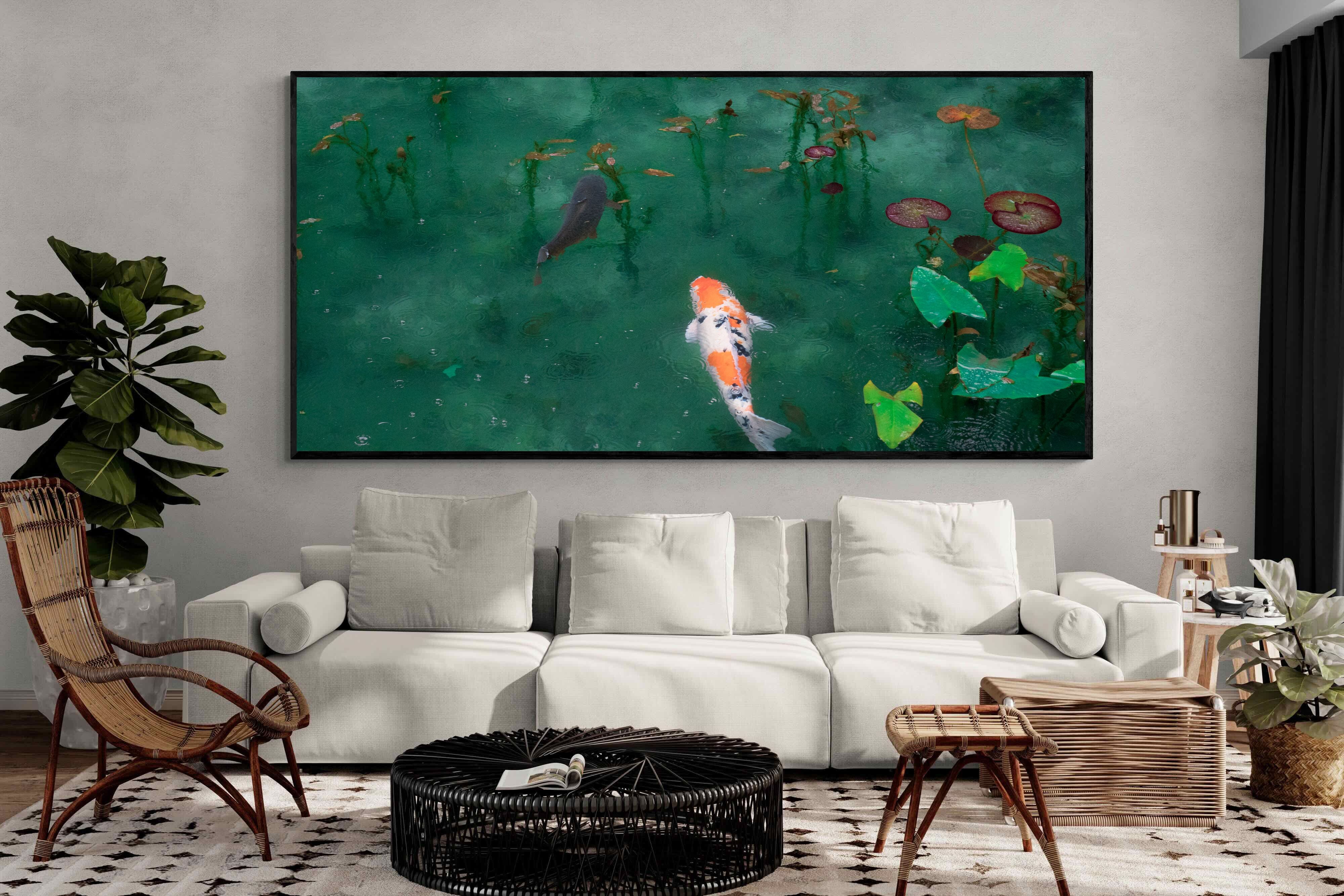 Pixalot Koi Pond