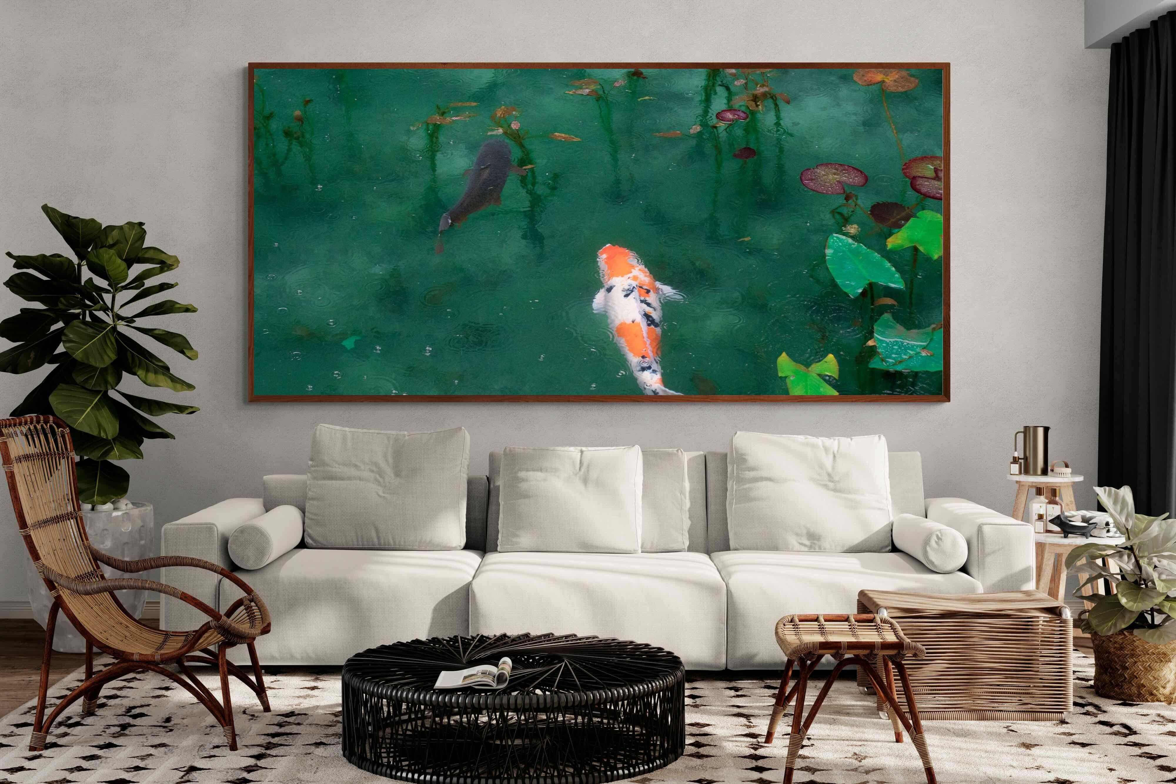 Pixalot ® Koi Pond