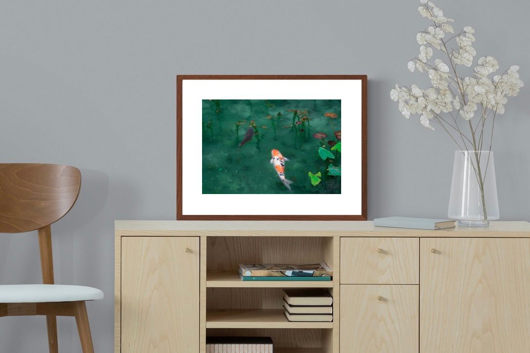 Pixalot ® Koi Pond