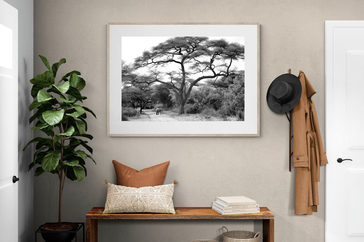 Pixalot ® Kruger Footpath