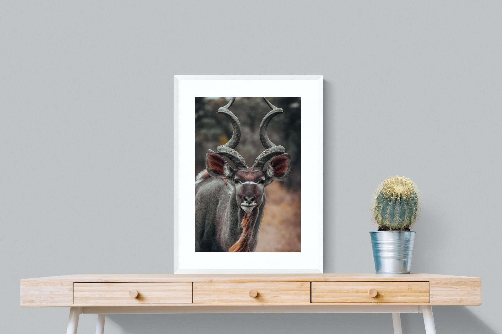 Pixalot Kudu