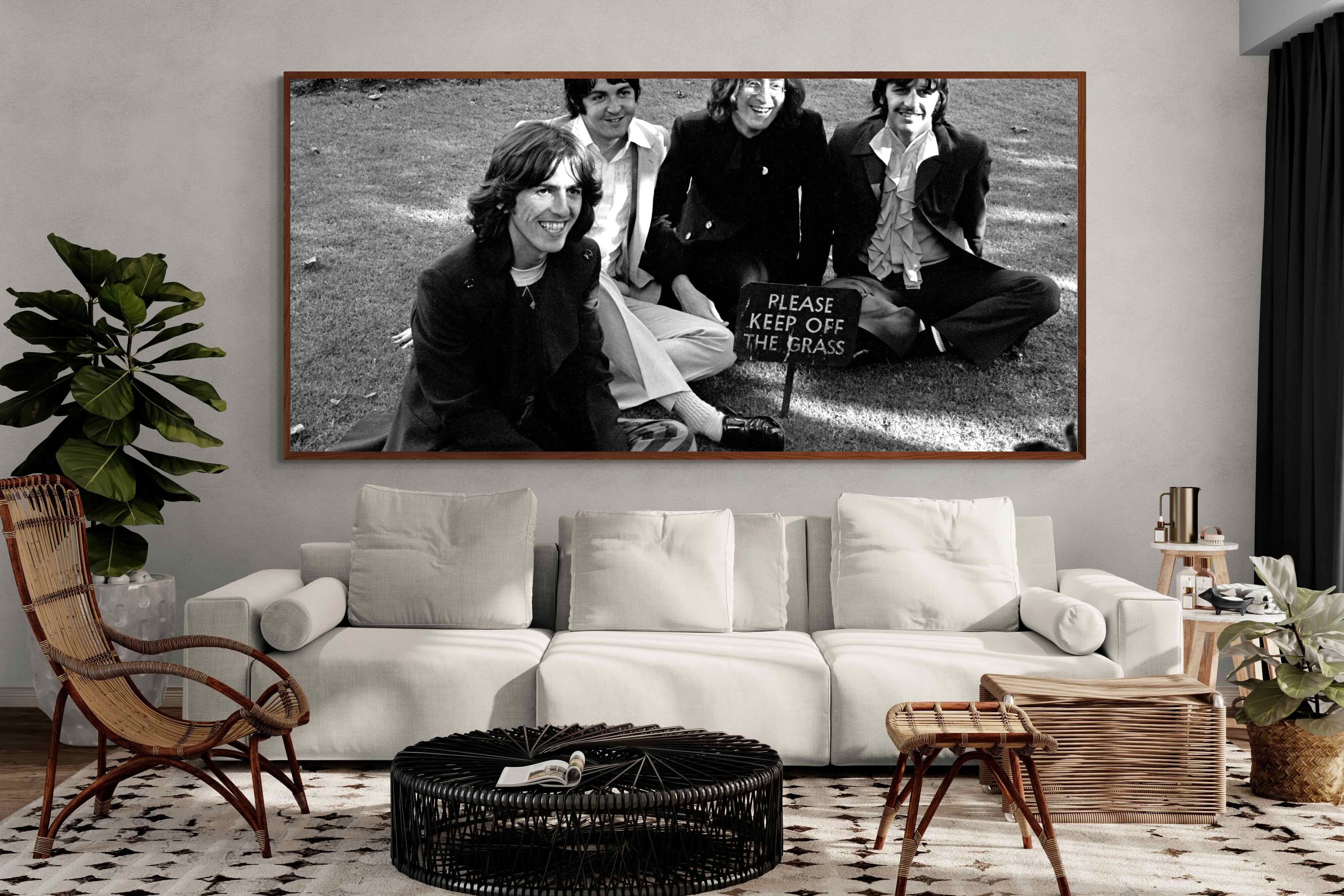 Pixalot ® Lawn Beatles