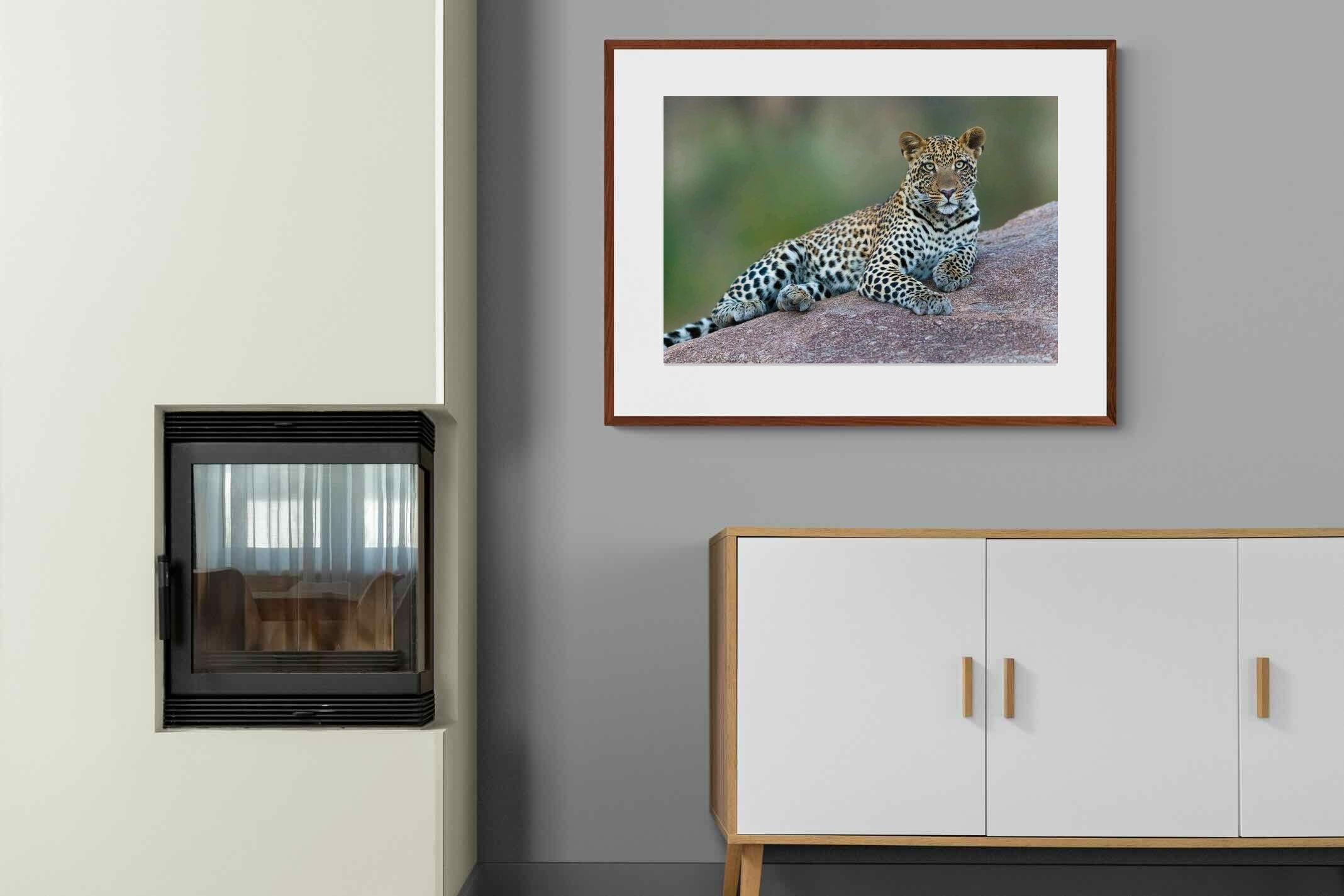 Pixalot ® Laying Leopard