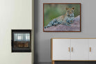 Pixalot ® Laying Leopard