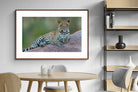 Pixalot ® Laying Leopard