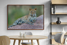 Pixalot ® Laying Leopard