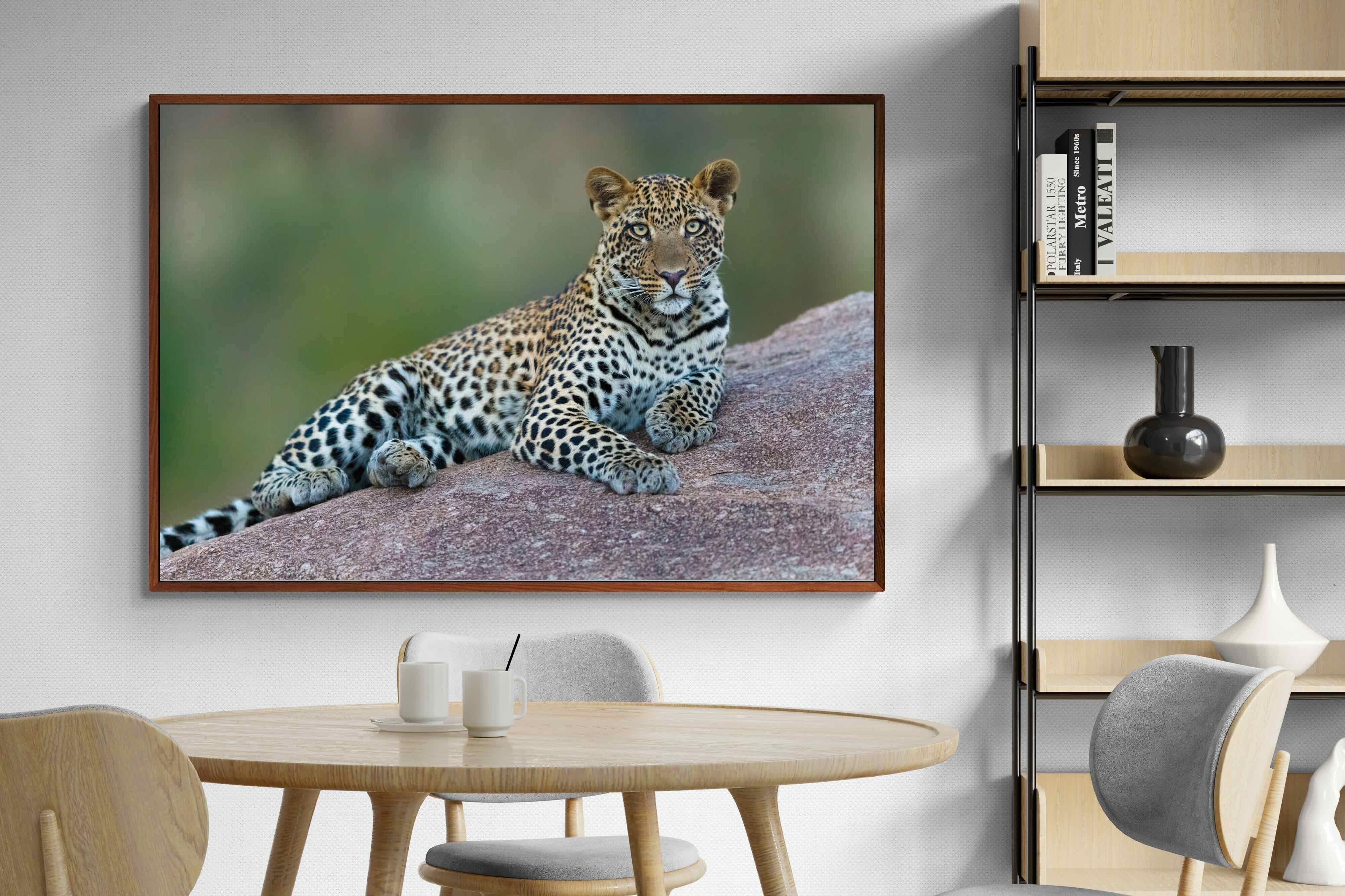 Pixalot ® Laying Leopard