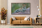 Pixalot ® Laying Leopard