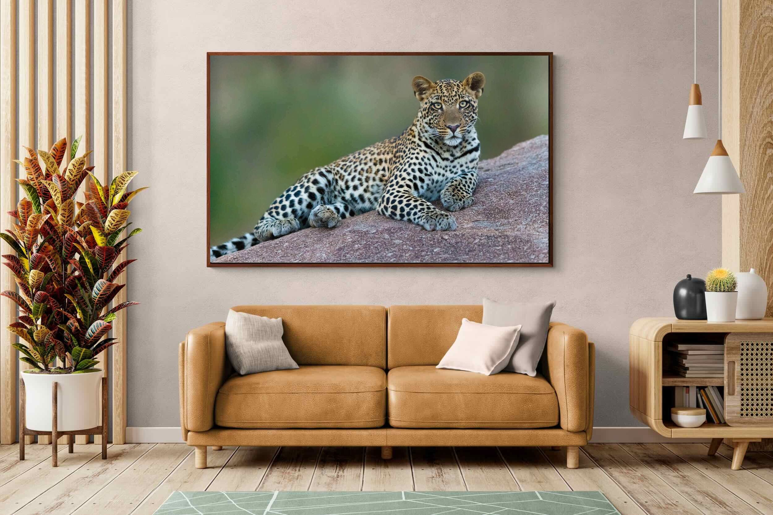 Pixalot ® Laying Leopard