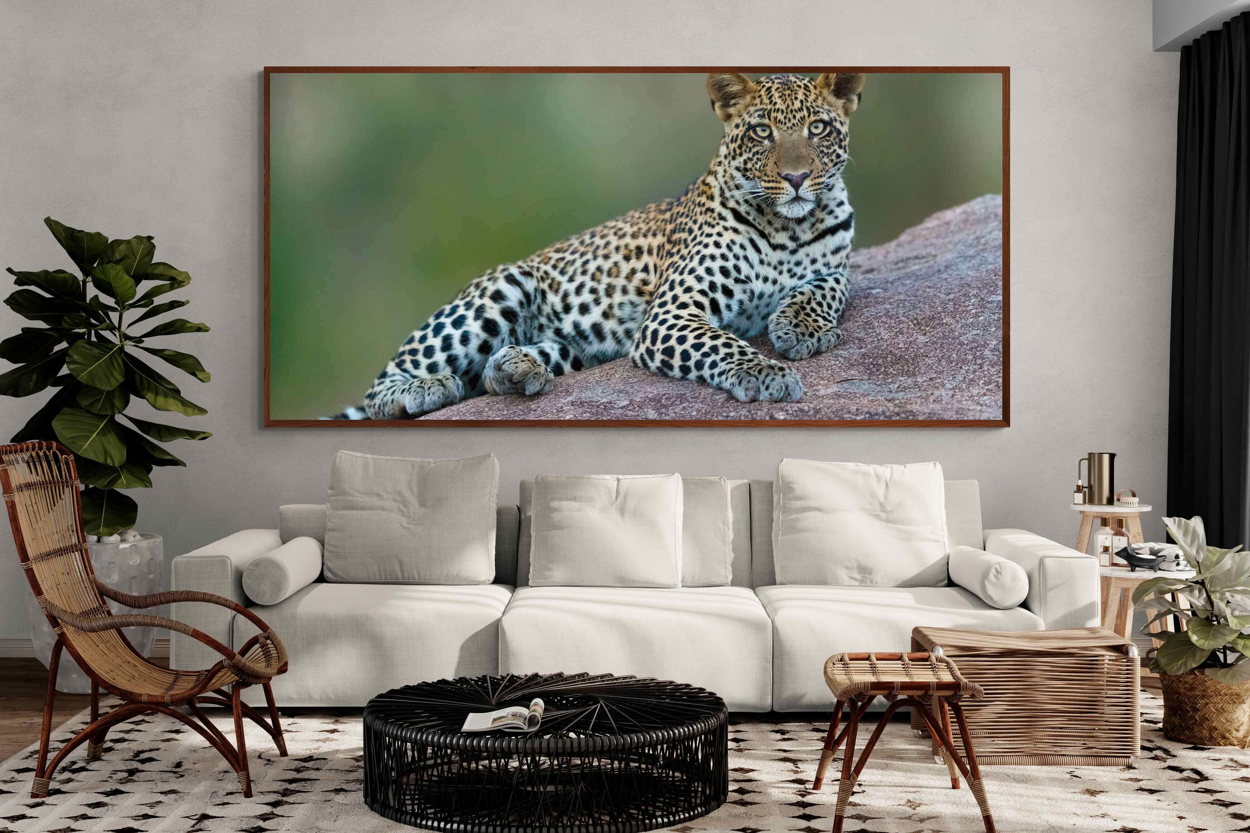 Pixalot ® Laying Leopard