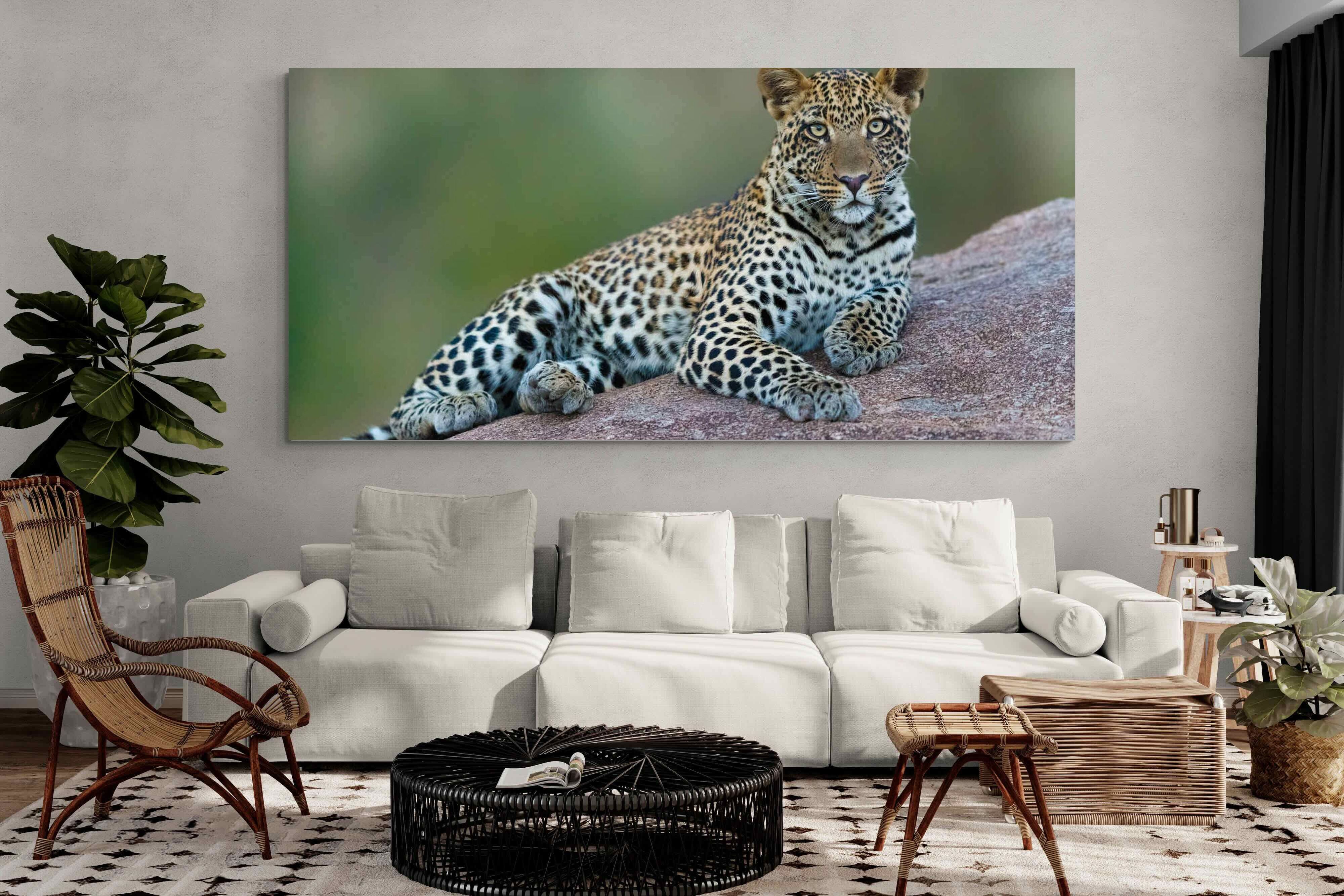 Pixalot ® Laying Leopard