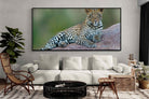 Pixalot ® Laying Leopard