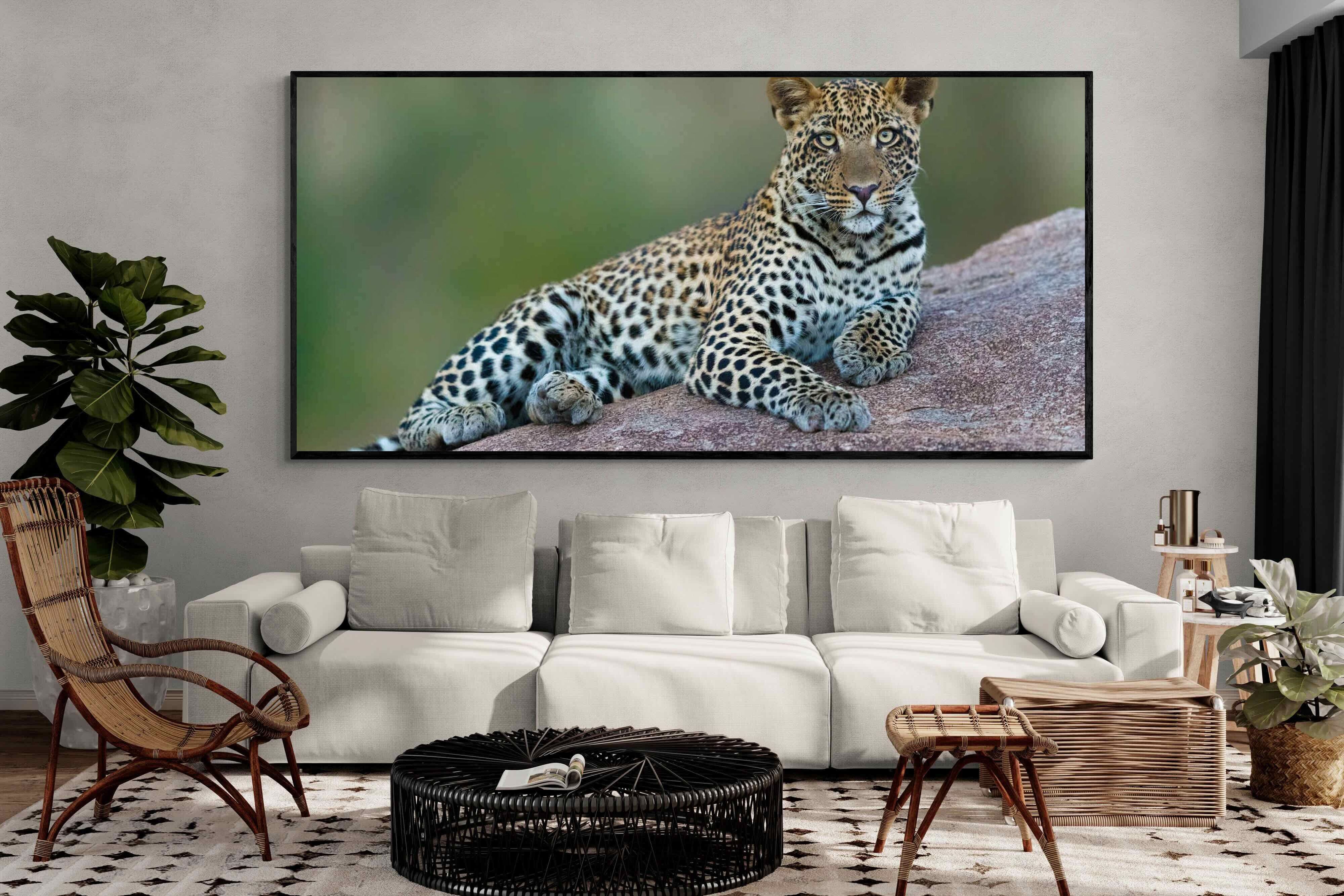Pixalot ® Laying Leopard