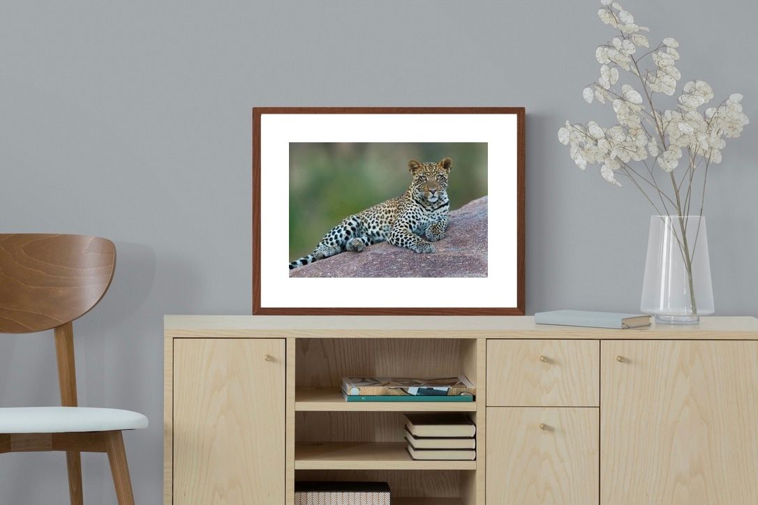Pixalot ® Laying Leopard