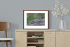 Pixalot ® Laying Leopard
