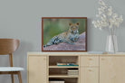Pixalot ® Laying Leopard