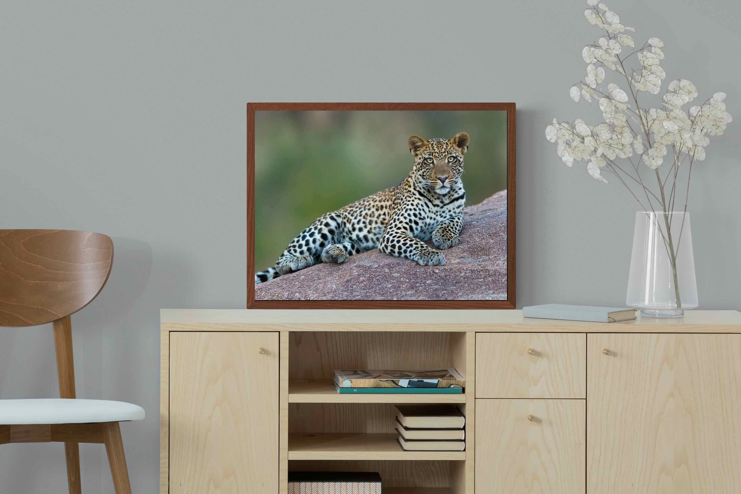Pixalot ® Laying Leopard