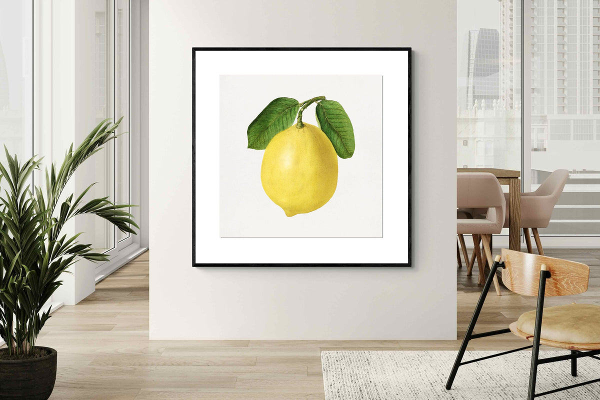 Pixalot ® Lemon