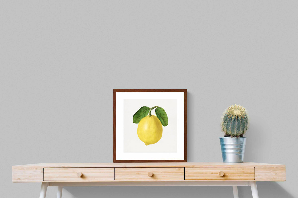 Pixalot ® Lemon