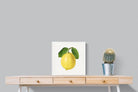Pixalot ® Lemon