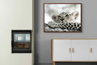 Pixalot Leopard Cub