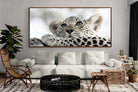 Pixalot Leopard Cub