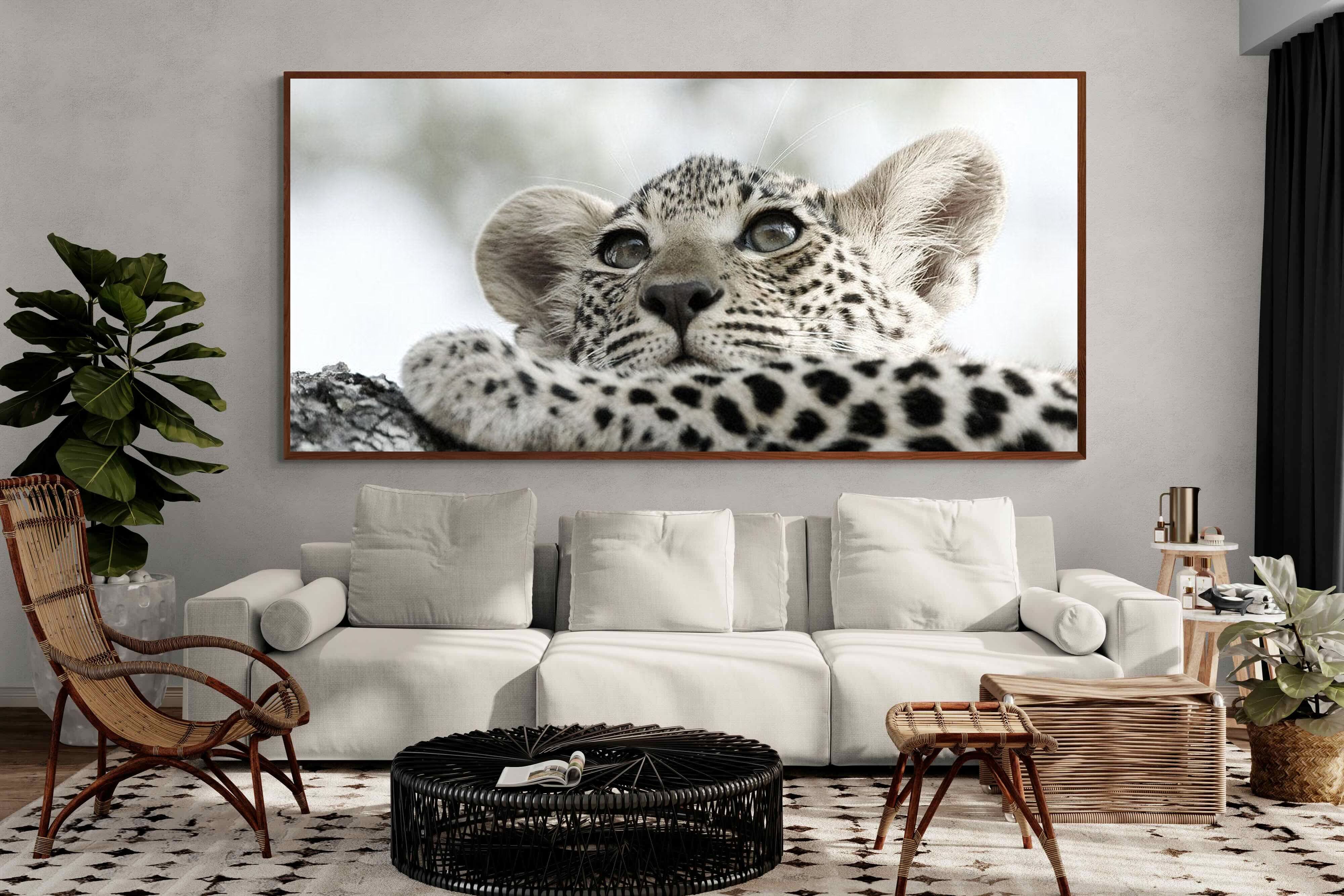 Pixalot Leopard Cub